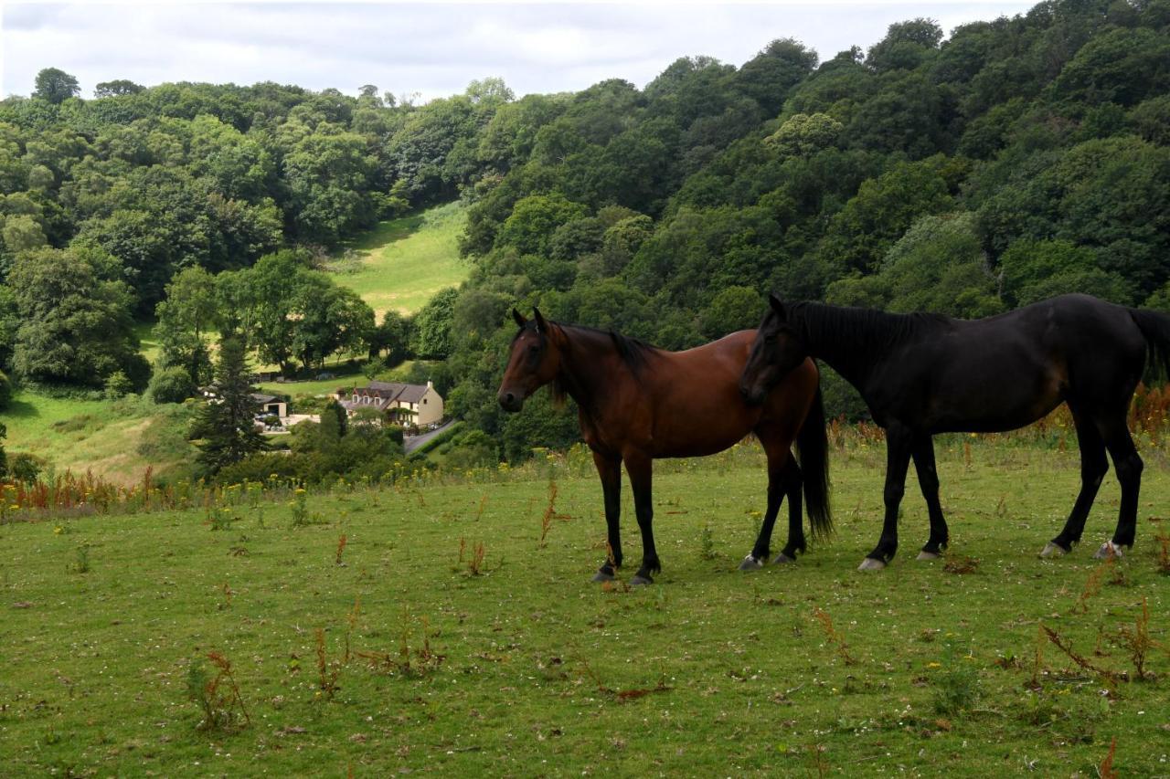 Llandysul Ty Twt - Complete Holiday Home מראה חיצוני תמונה