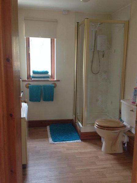 Llandysul Ty Twt - Complete Holiday Home מראה חיצוני תמונה